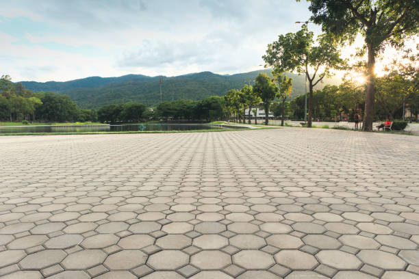 Best Driveway Resurfacing Pavers  in Ladd, IL