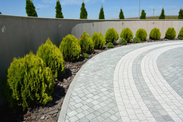 Residential Paver Driveway in Ladd, IL