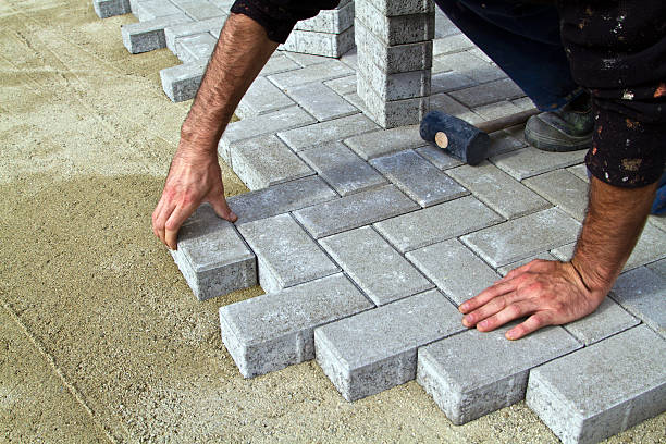 Best Best Driveway Pavers  in Ladd, IL